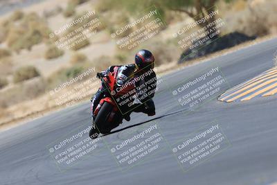 media/May-14-2023-SoCal Trackdays (Sun) [[024eb53b40]]/Turn 5 Tree of Life (1125am)/